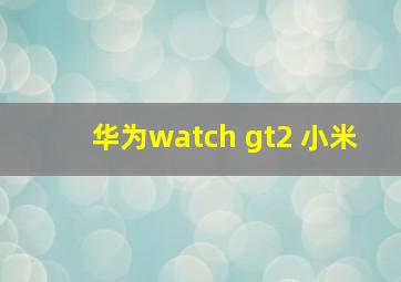 华为watch gt2 小米